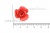 Украшение "Розы малые №1" 20мм - купить в Таганроге. Цена: 32.49 руб.