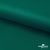 Ткань подкладочная Таффета, 19-5420, 53 г/м2, антистатик, шир. 150 см, вечнозеленый - купить в Таганроге. Цена 57.16 руб.