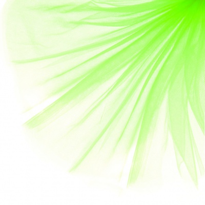 Фатин матовый 16-142, 12 гр/м2, шир.300см, цвет неон.зелёный - купить в Таганроге. Цена 101.95 руб.