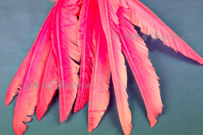 Декоративный Пучок из перьев, перо 25см/розовый - купить в Таганроге. Цена: 14.40 руб.