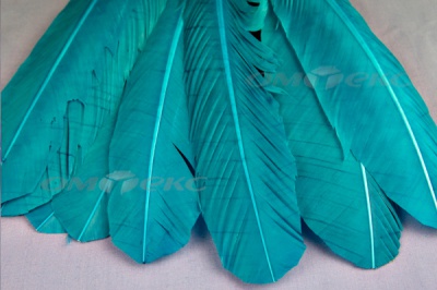 Декоративный Пучок из перьев, перо 24см/голубой - купить в Таганроге. Цена: 12.19 руб.