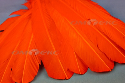 Декоративный Пучок из перьев, перо 24см/оранжевый - купить в Таганроге. Цена: 12.19 руб.