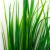 Трава искусственная -2, шт (осока 41см/8 см)				 - купить в Таганроге. Цена: 104.57 руб.
