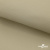 Ткань подкладочная TWILL 230T 14-1108, беж светлый 100% полиэстер,66 г/м2, шир.150 cм - купить в Таганроге. Цена 90.59 руб.