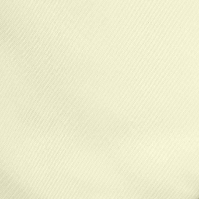 Ткань подкладочная Таффета 12-0703, антист., 53 гр/м2, шир.150см, цвет св.бежевый - купить в Таганроге. Цена 62.37 руб.