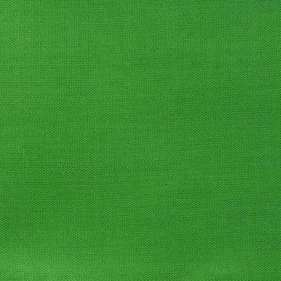 Ткань подкладочная Таффета 17-6153, 48 гр/м2, шир.150см, цвет трава - купить в Таганроге. Цена 54.64 руб.