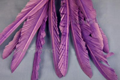 Декоративный Пучок из перьев, перо 25см/фиолетовый - купить в Таганроге. Цена: 12.19 руб.