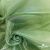 Ткань органза, 100% полиэстр, 28г/м2, шир. 150 см, цв. #27 зеленый - купить в Таганроге. Цена 86.24 руб.