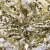 Трикотажное полотно, Сетка с пайетками, шир.130 см, #315, цв.-белый/золото - купить в Таганроге. Цена 693.39 руб.