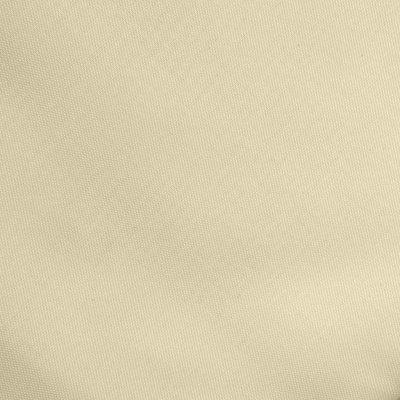 Ткань подкладочная Таффета 14-1014, антист., 54 гр/м2, шир.150см, цвет бежевый - купить в Таганроге. Цена 65.53 руб.