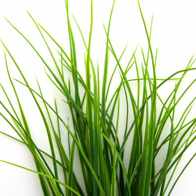 Трава искусственная -3, шт (осока 50 см/8 см  5 листов)				 - купить в Таганроге. Цена: 124.17 руб.