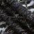 Кружевное полотно XD LACE 1-4, 80 гр/м2, шир.150см, цвет чёрный - купить в Таганроге. Цена 245.94 руб.